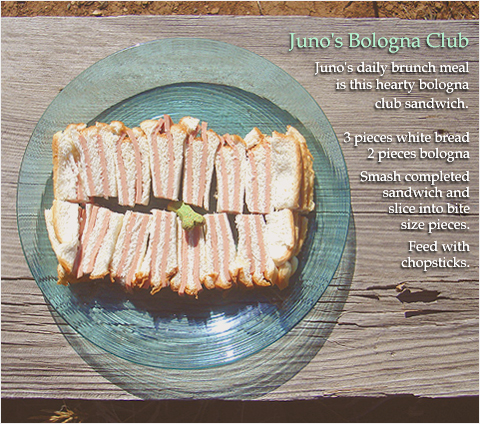 Juno's Favorite Recipes: Bologna Club Sandwich
